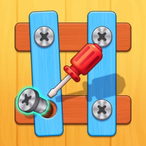 Nuts And Bolts Screw Puzzle